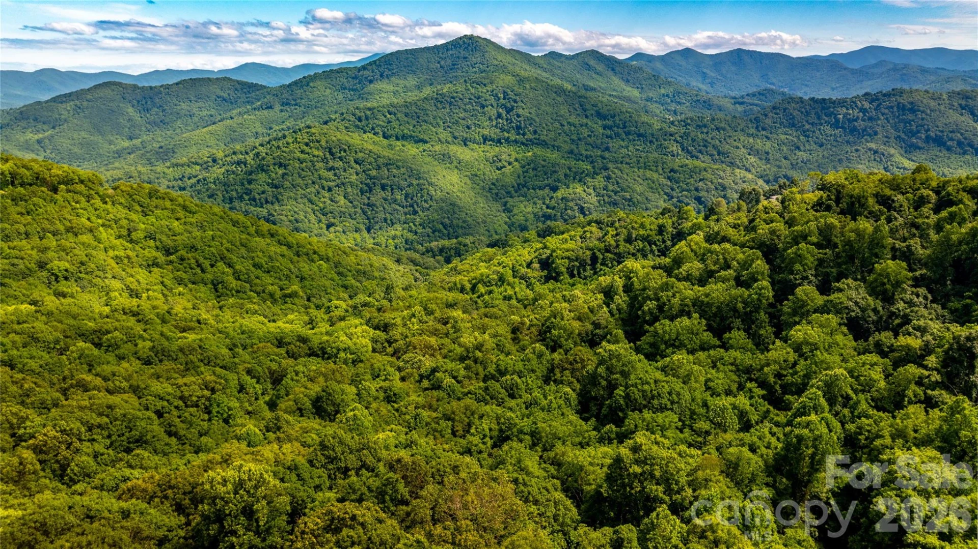 0000 High Rock View Drive #40 - Photo 7