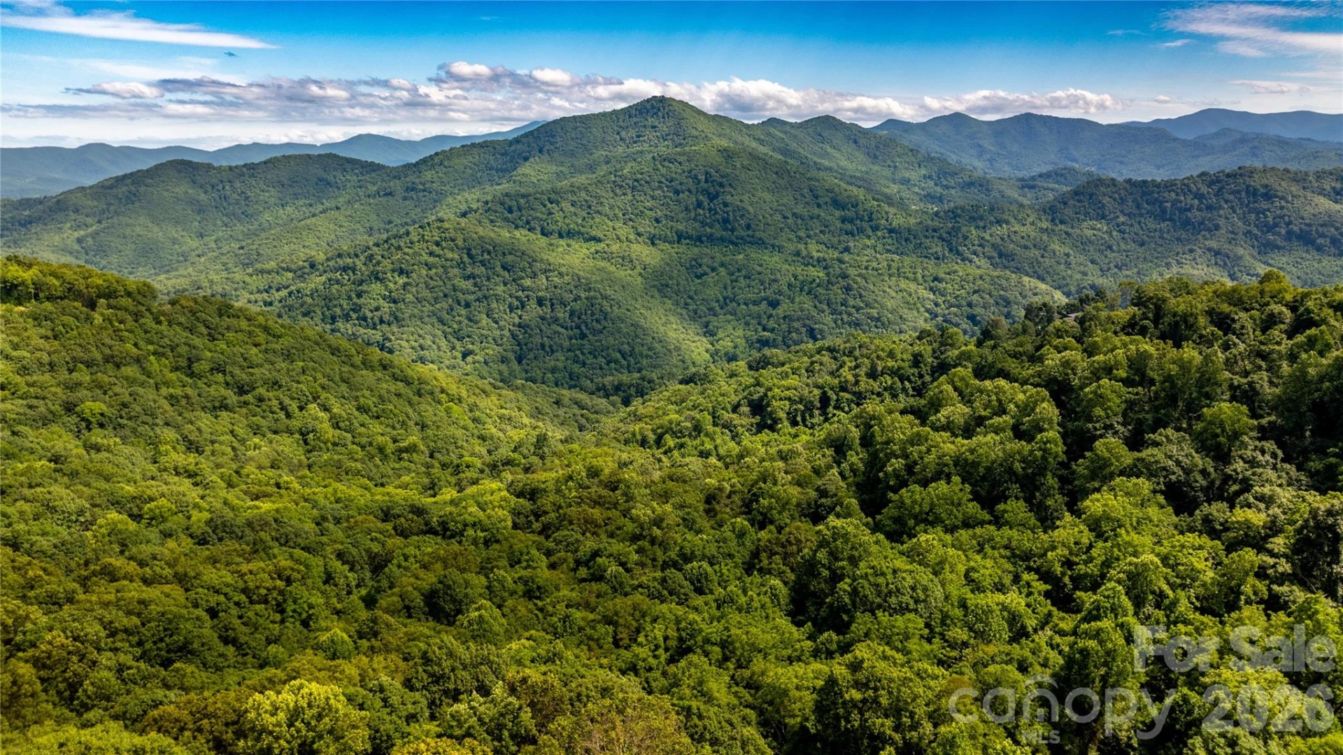 0000 High Rock View Drive #40 - Photo 8