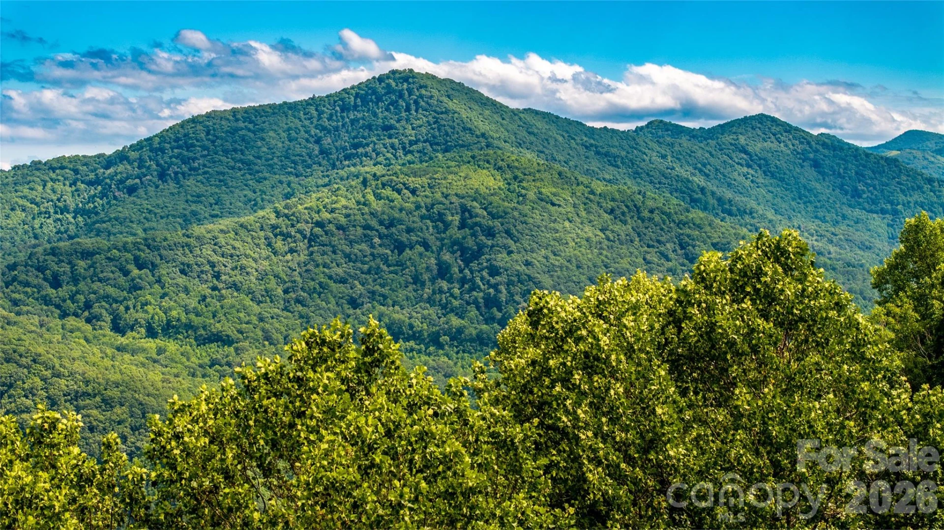 0000 High Rock View Drive #40 - Photo 9