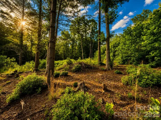201 Cross Creek North Ridge Drive
