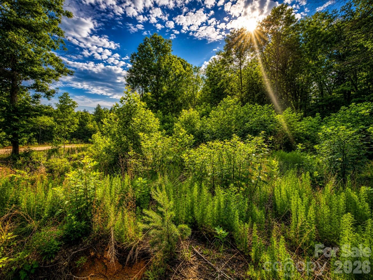 201 Cross Creek North Ridge Drive #46 - Photo 5