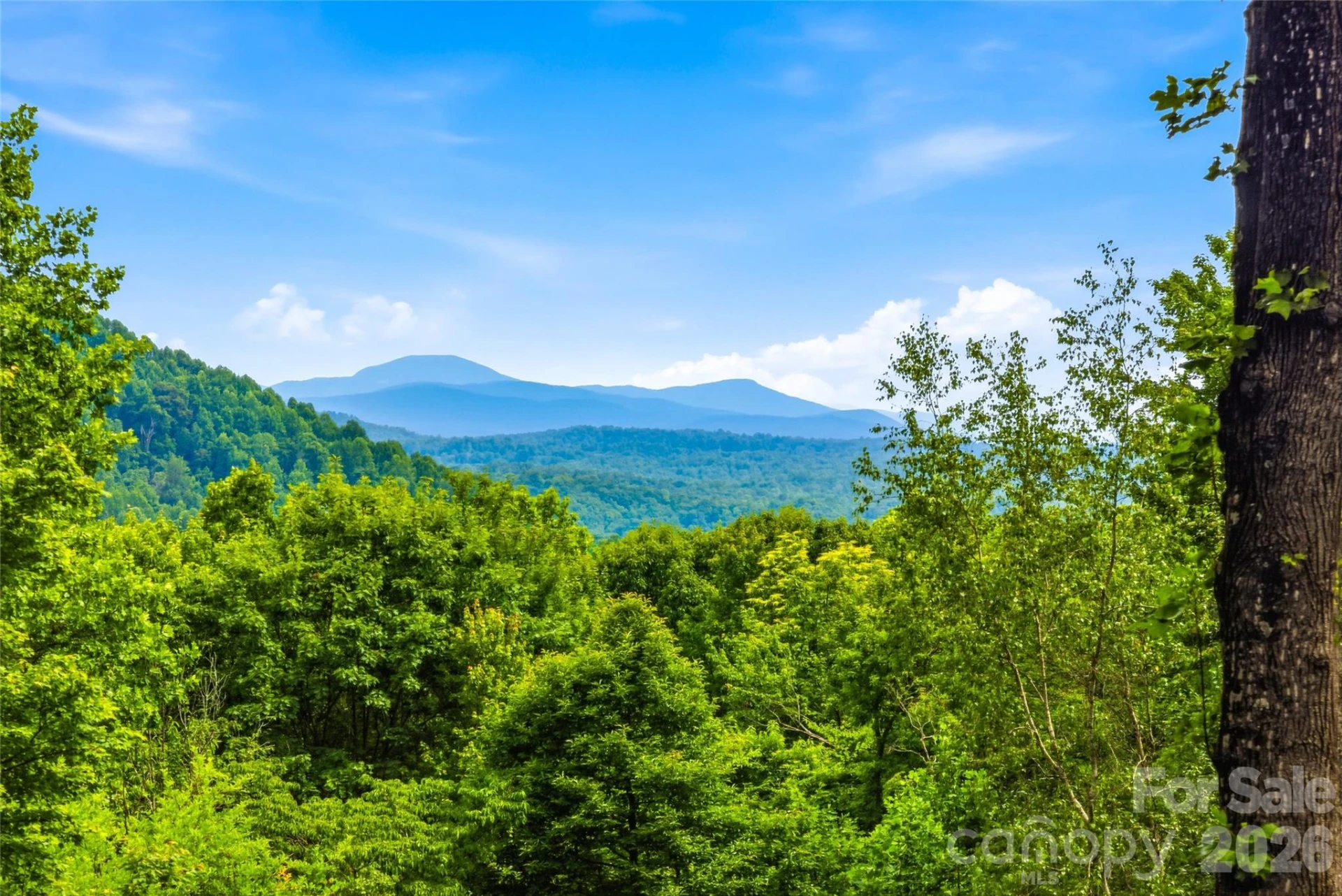 233 Tanglewood Lane - Photo 35