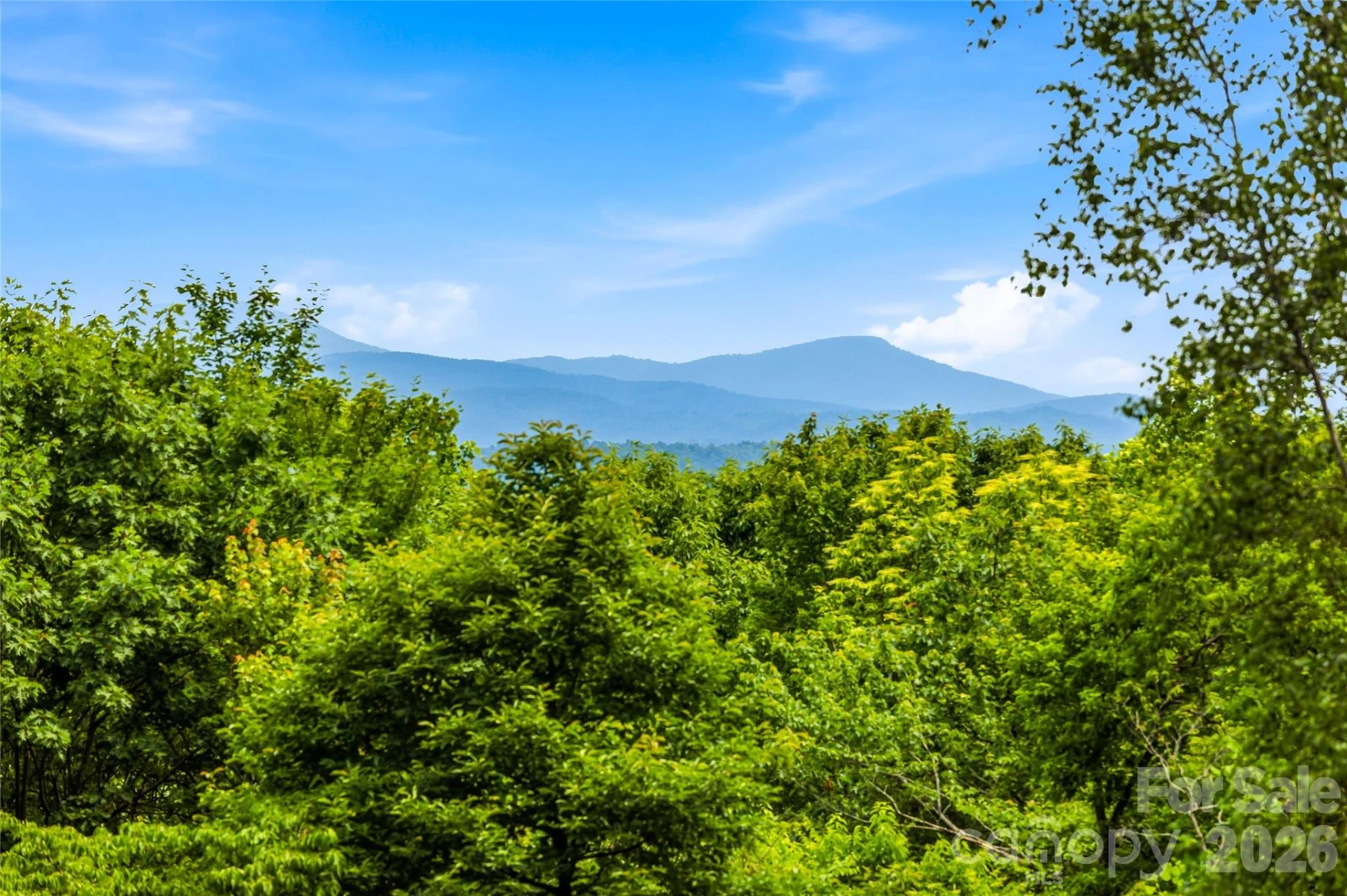 233 Tanglewood Lane - Photo 39