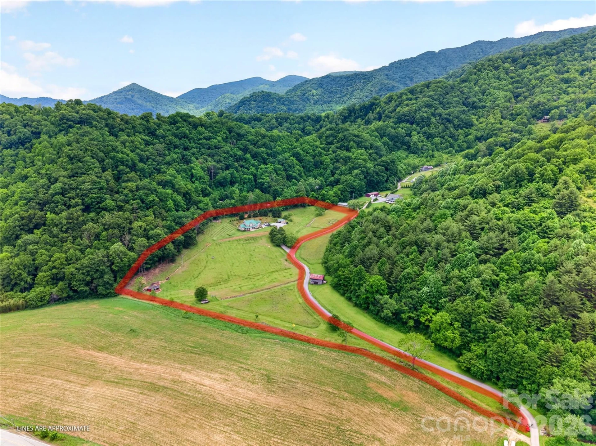 227 Black Bear Cove - Photo 45