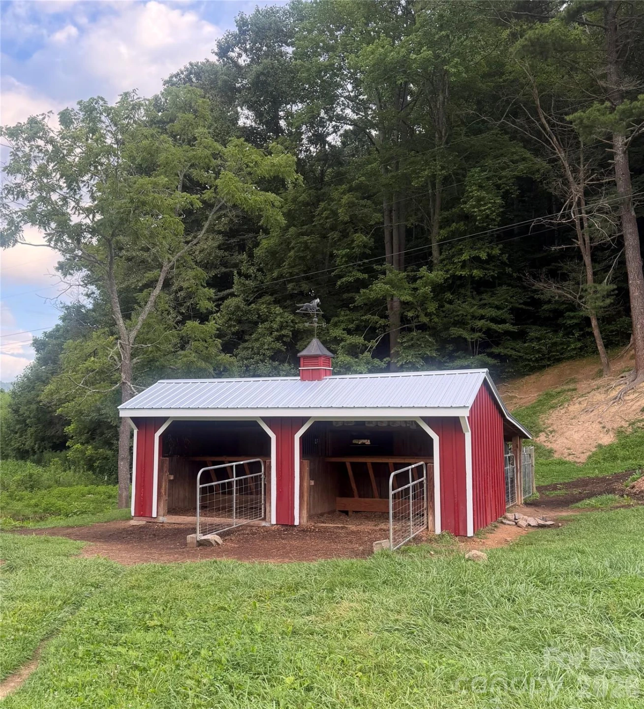 227 Black Bear Cove - Photo 44