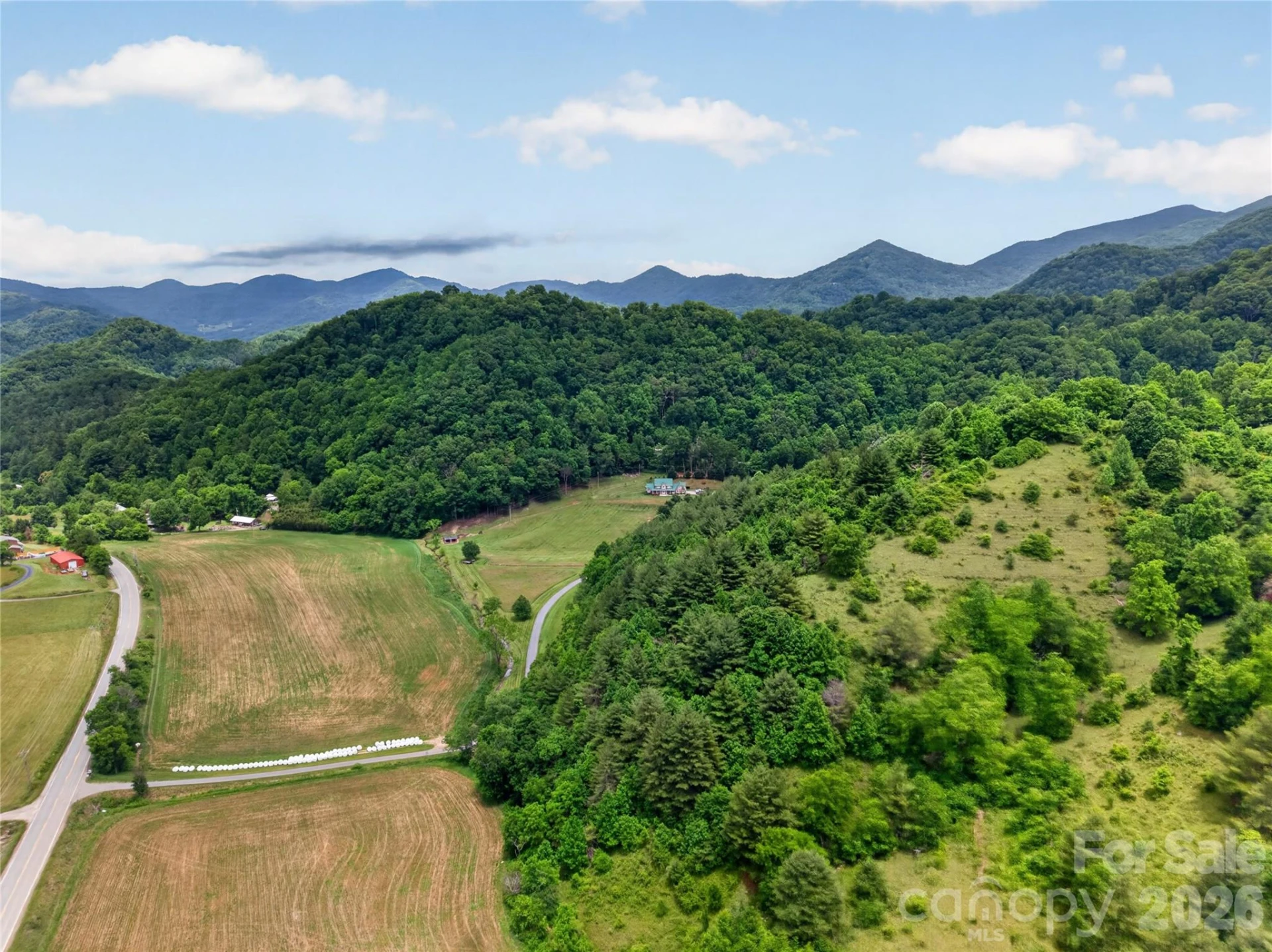 227 Black Bear Cove - Photo 47
