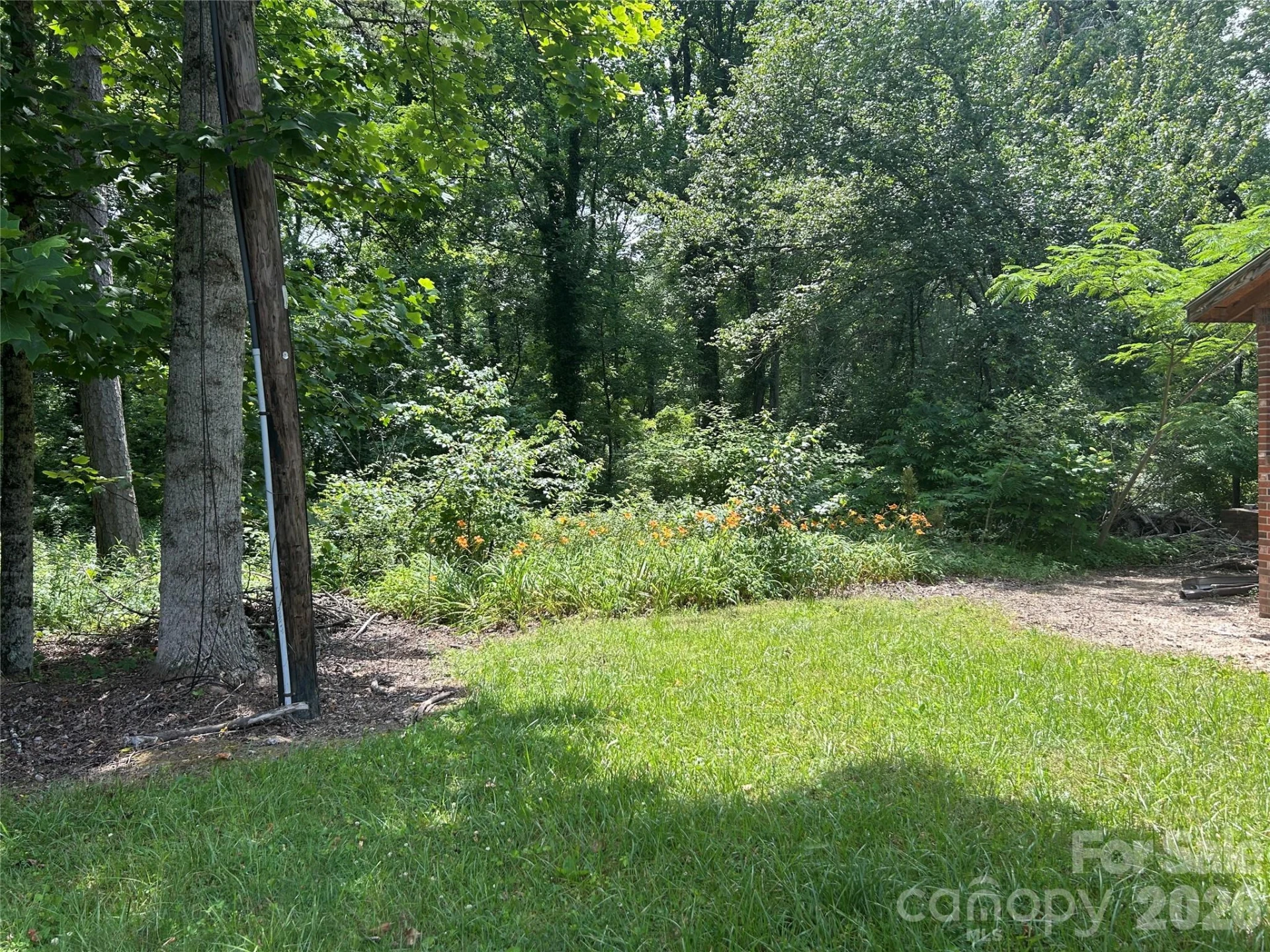 3177 Haywood Road - Photo 4