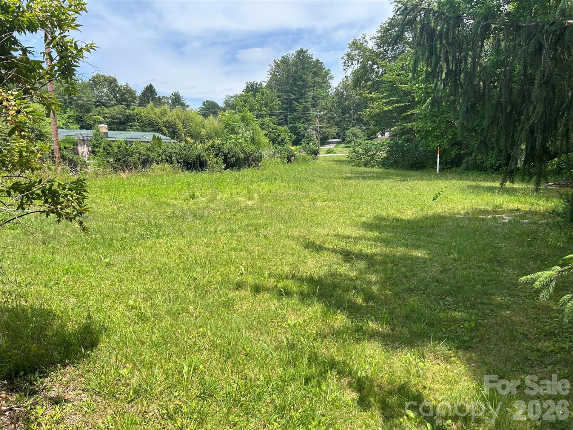 3177 Haywood Road - Photo 5