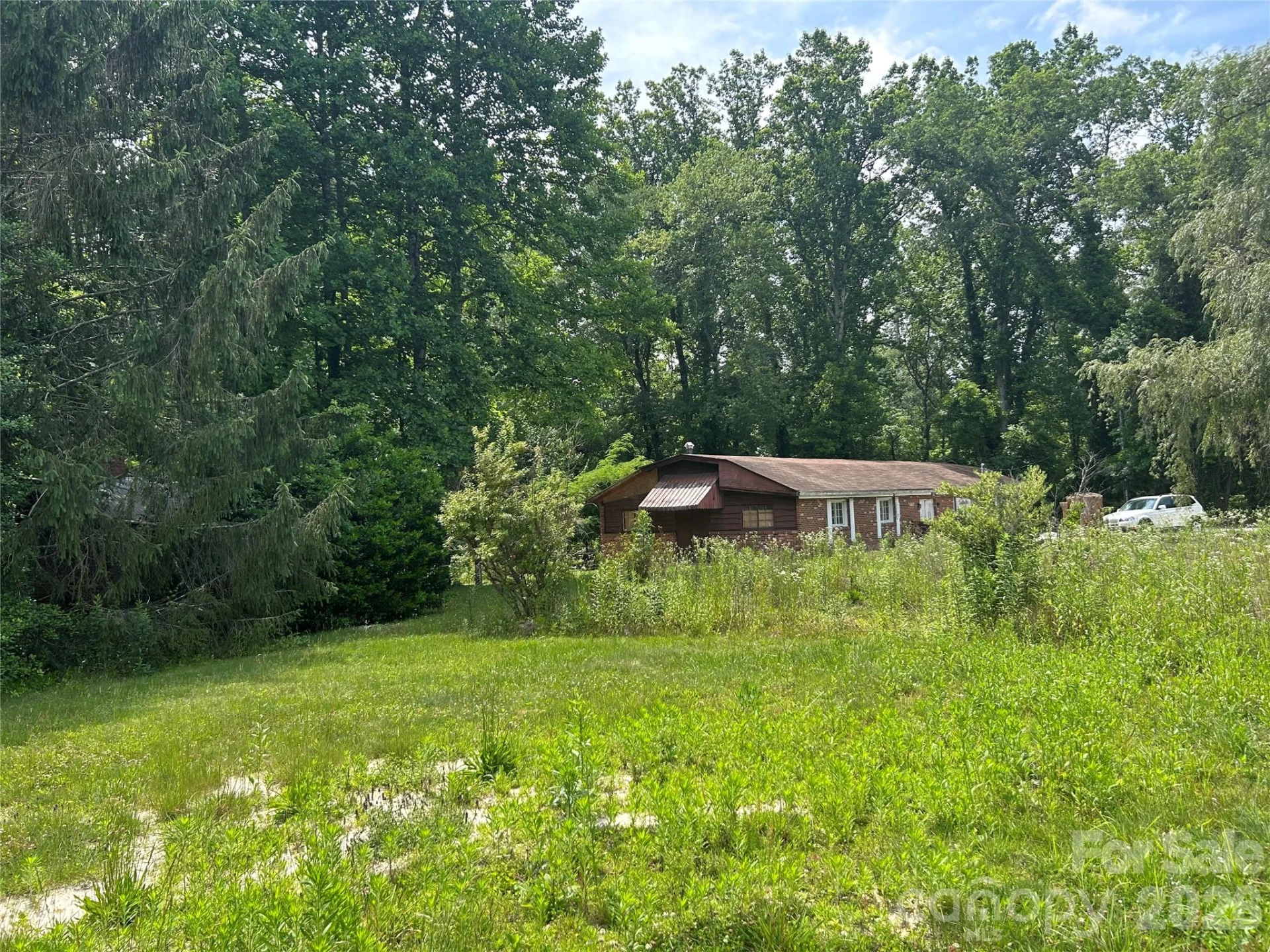 3177 Haywood Road - Photo 6