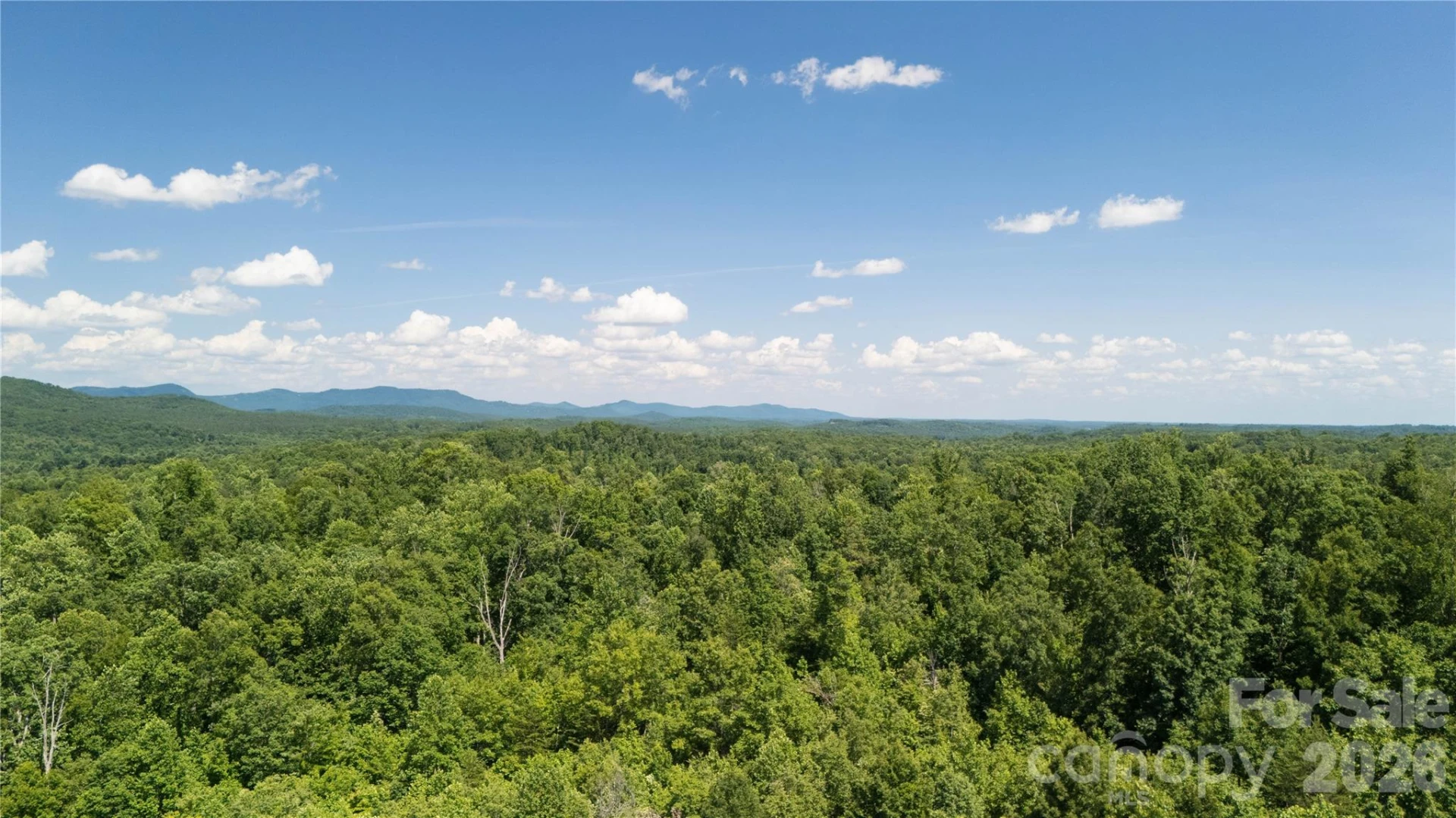 540 Crutchfield Road - Photo 11