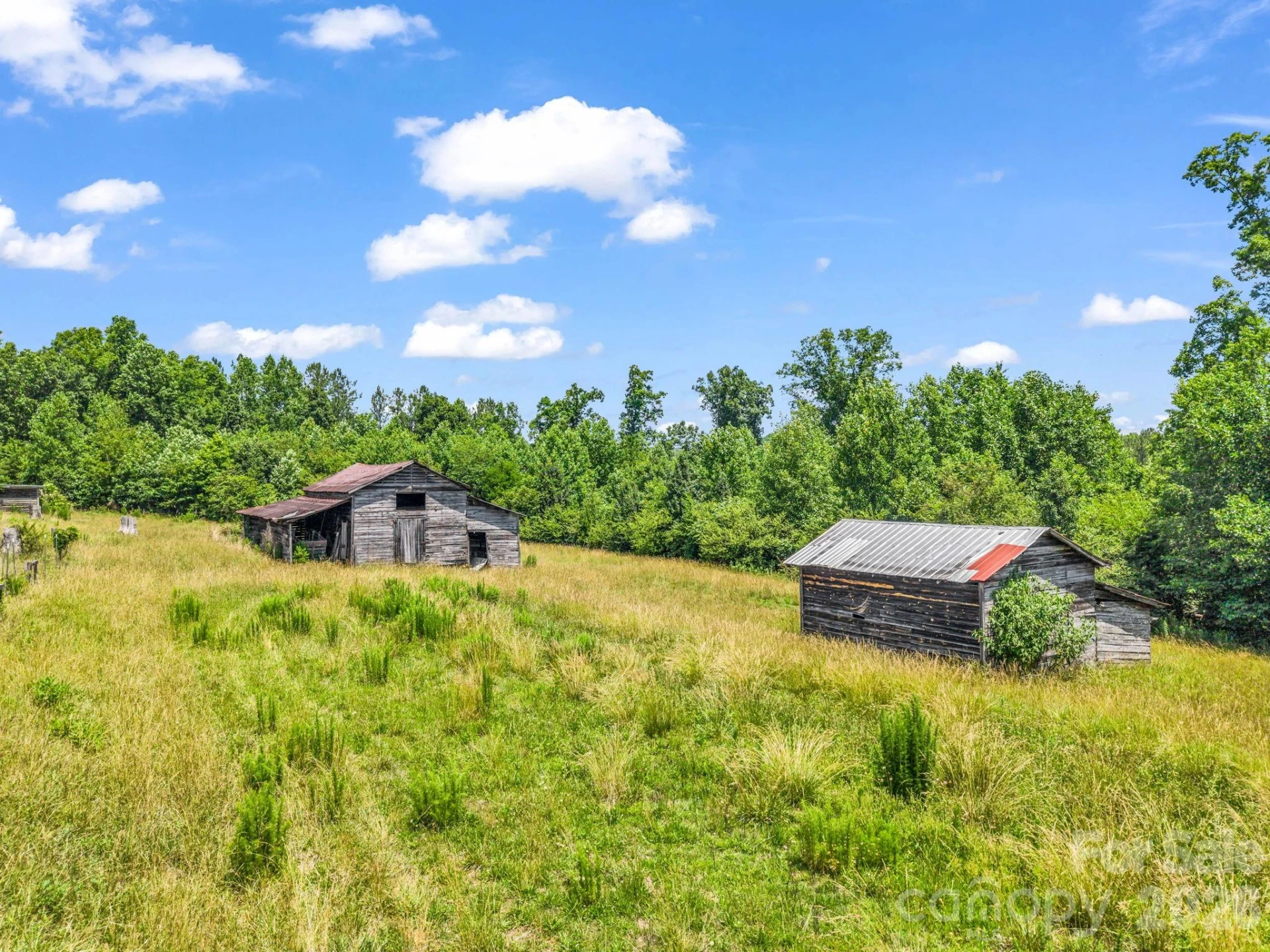1740 Baber Road - Photo 7