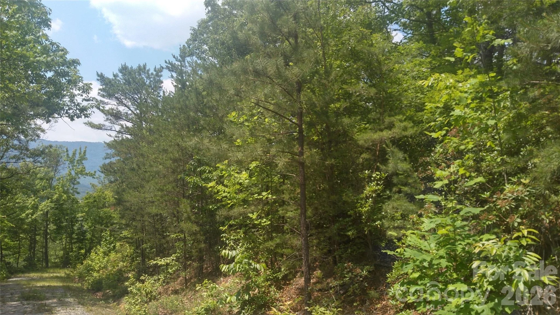 Lot 2F Seminole Path - Photo 12