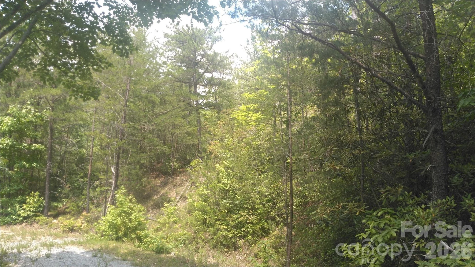 Lot 2F Seminole Path - Photo 13
