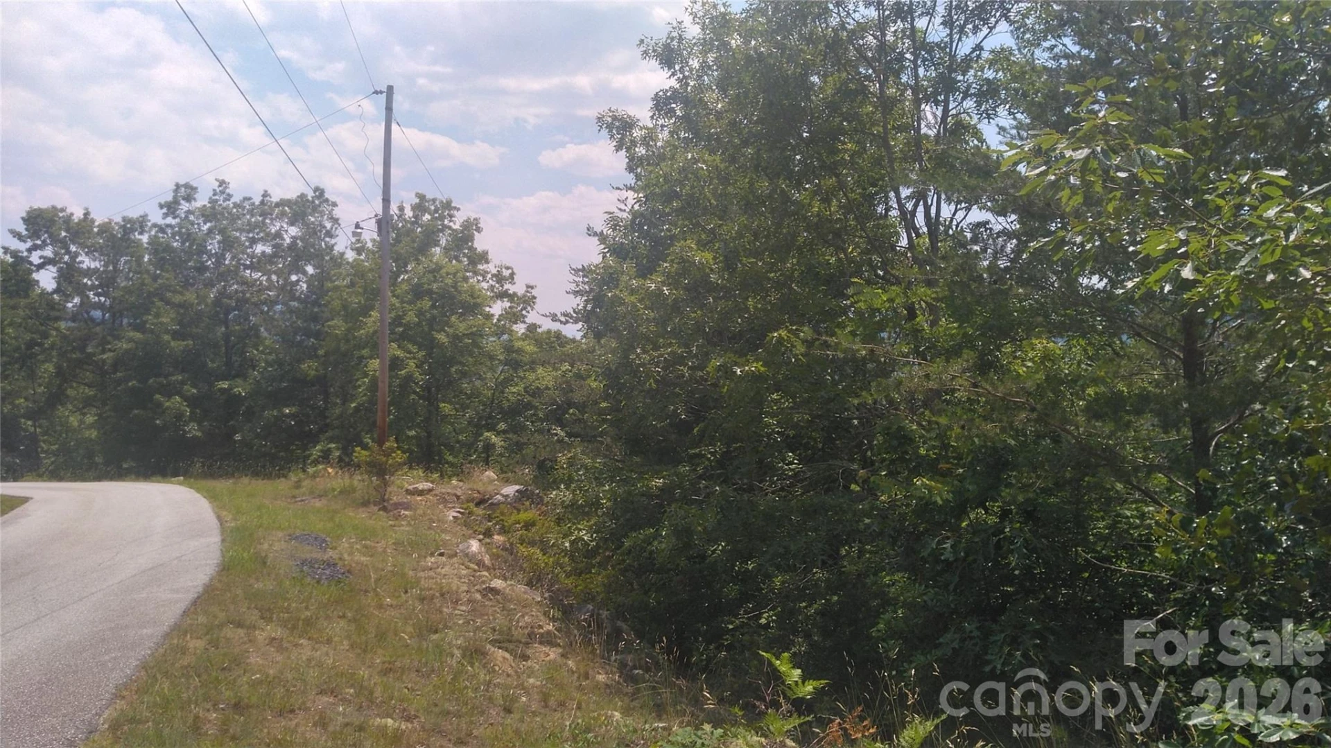 Lot 2F Seminole Path - Photo 8