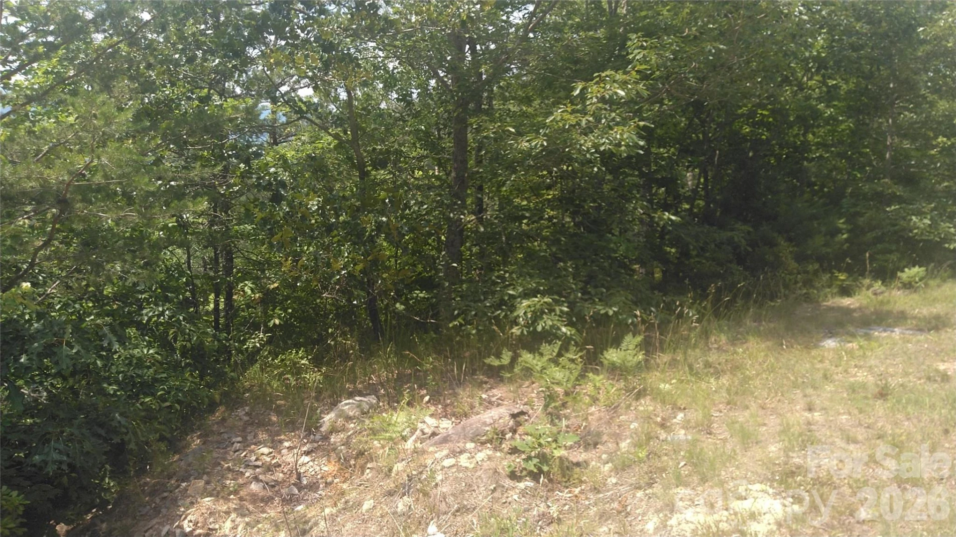Lot 2F Seminole Path - Photo 9