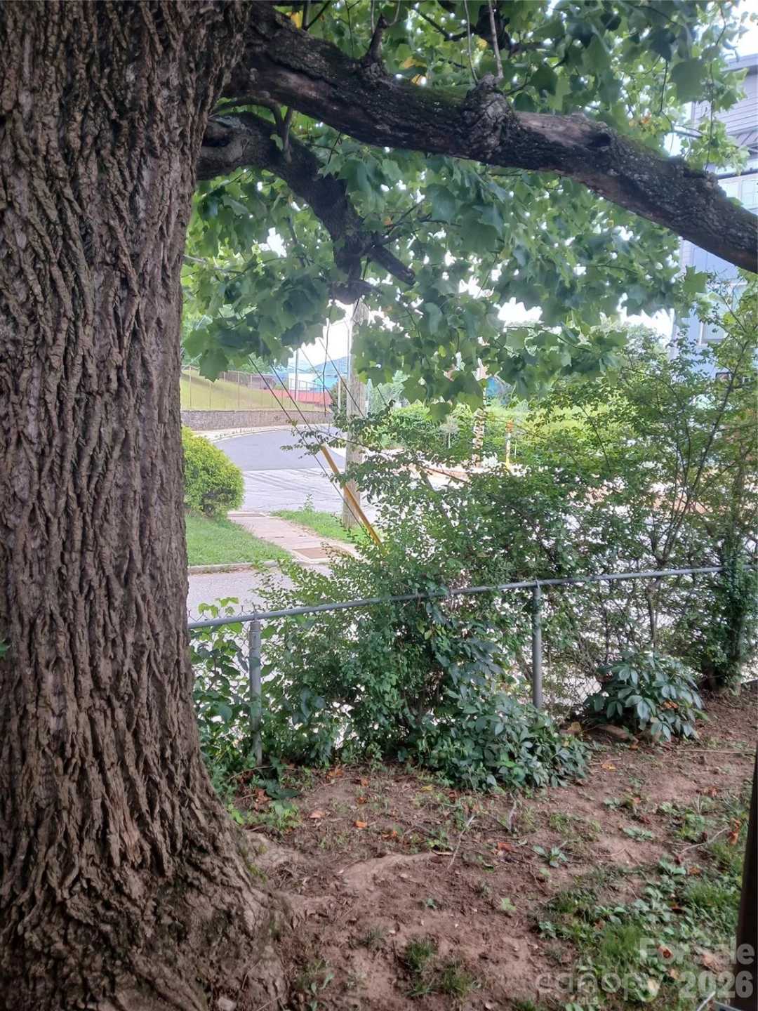 344 W Haywood Street - Photo 4
