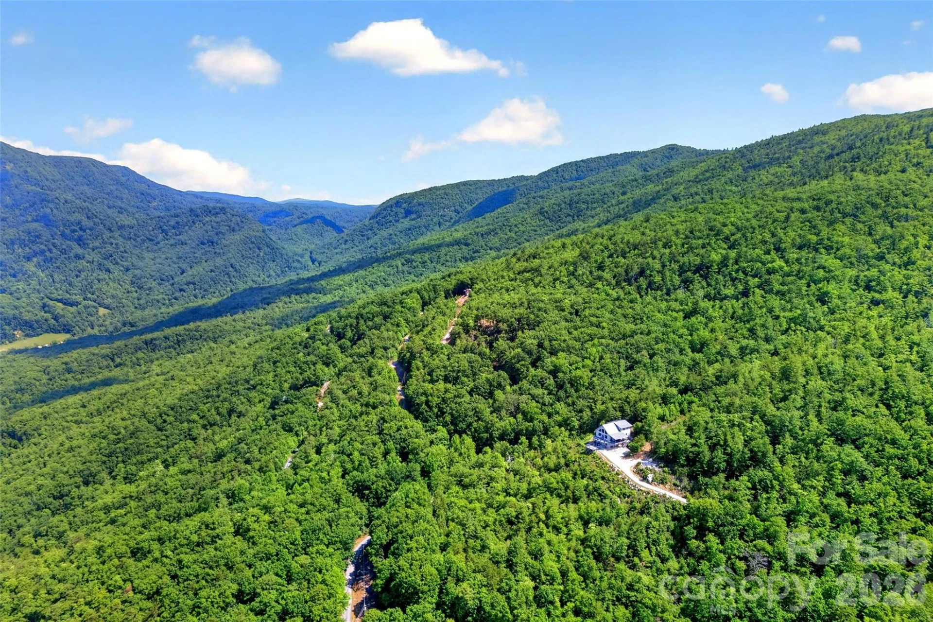 25 N Forest Drive - Photo 37
