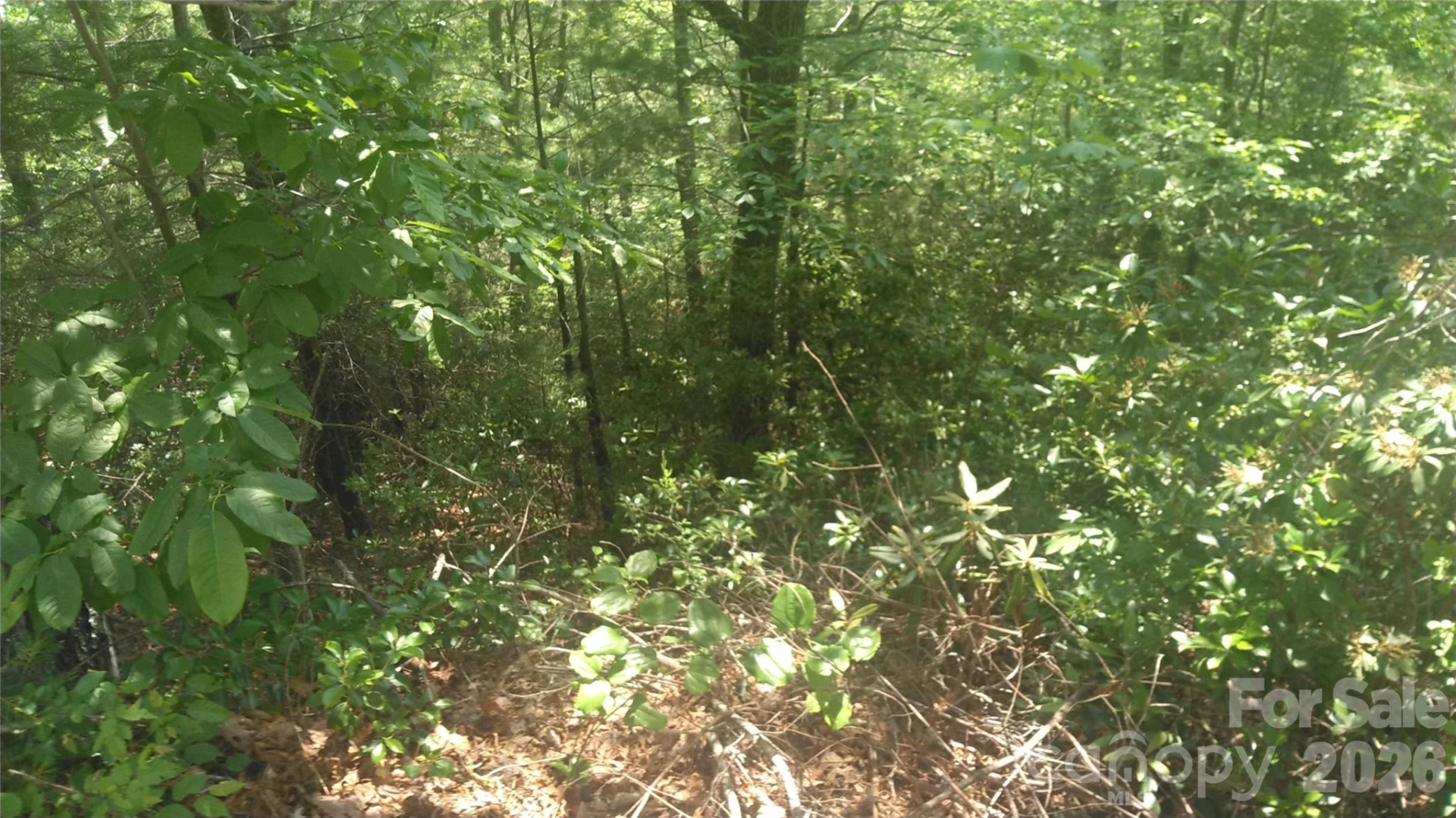 Lot 17 Deer Ridge Trail - Photo 4