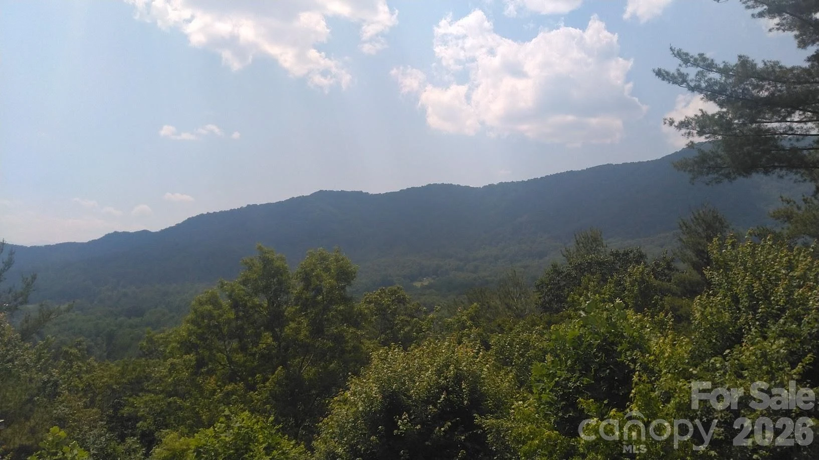 Lot 17 Deer Ridge Trail - Photo 5