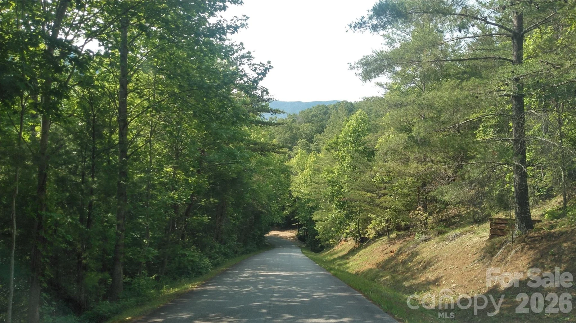 Lot 17 Deer Ridge Trail - Photo 7
