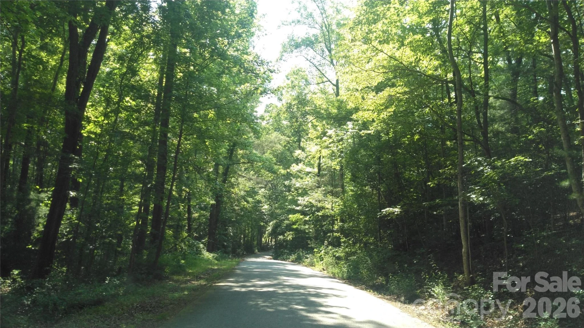 Lot 17 Deer Ridge Trail - Photo 8