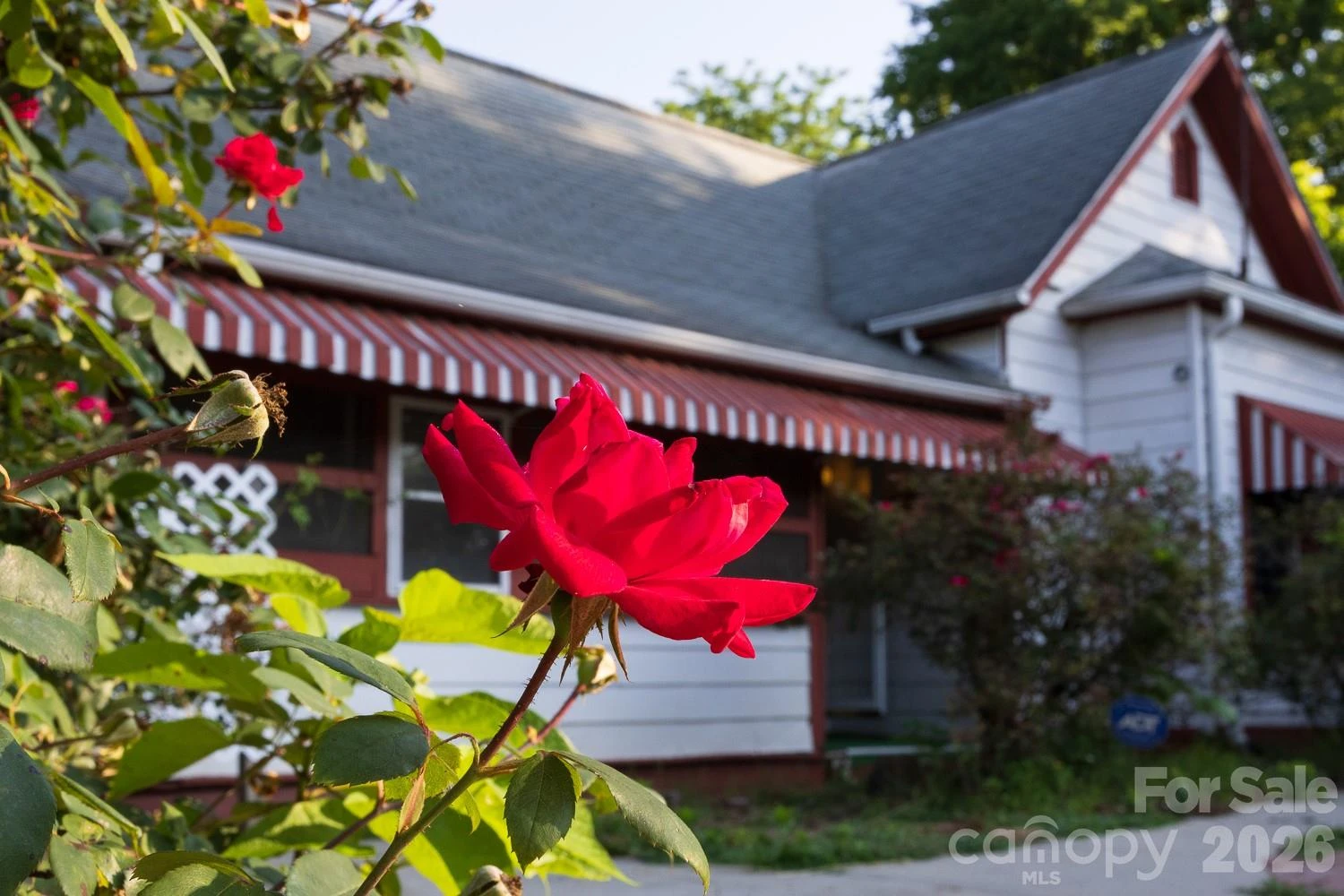 91 Clingman Avenue - Photo 3