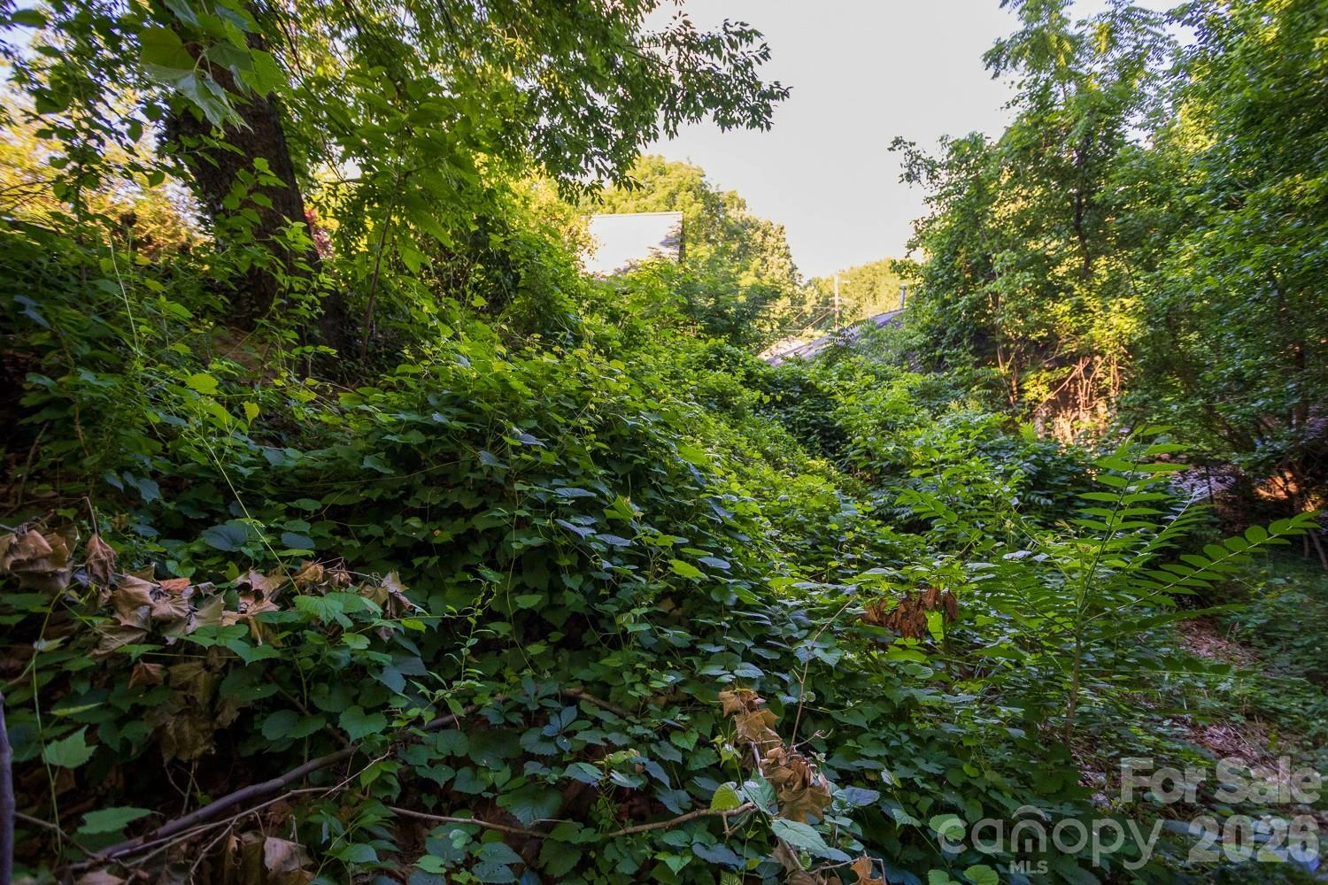 91 Clingman Avenue - Photo 34