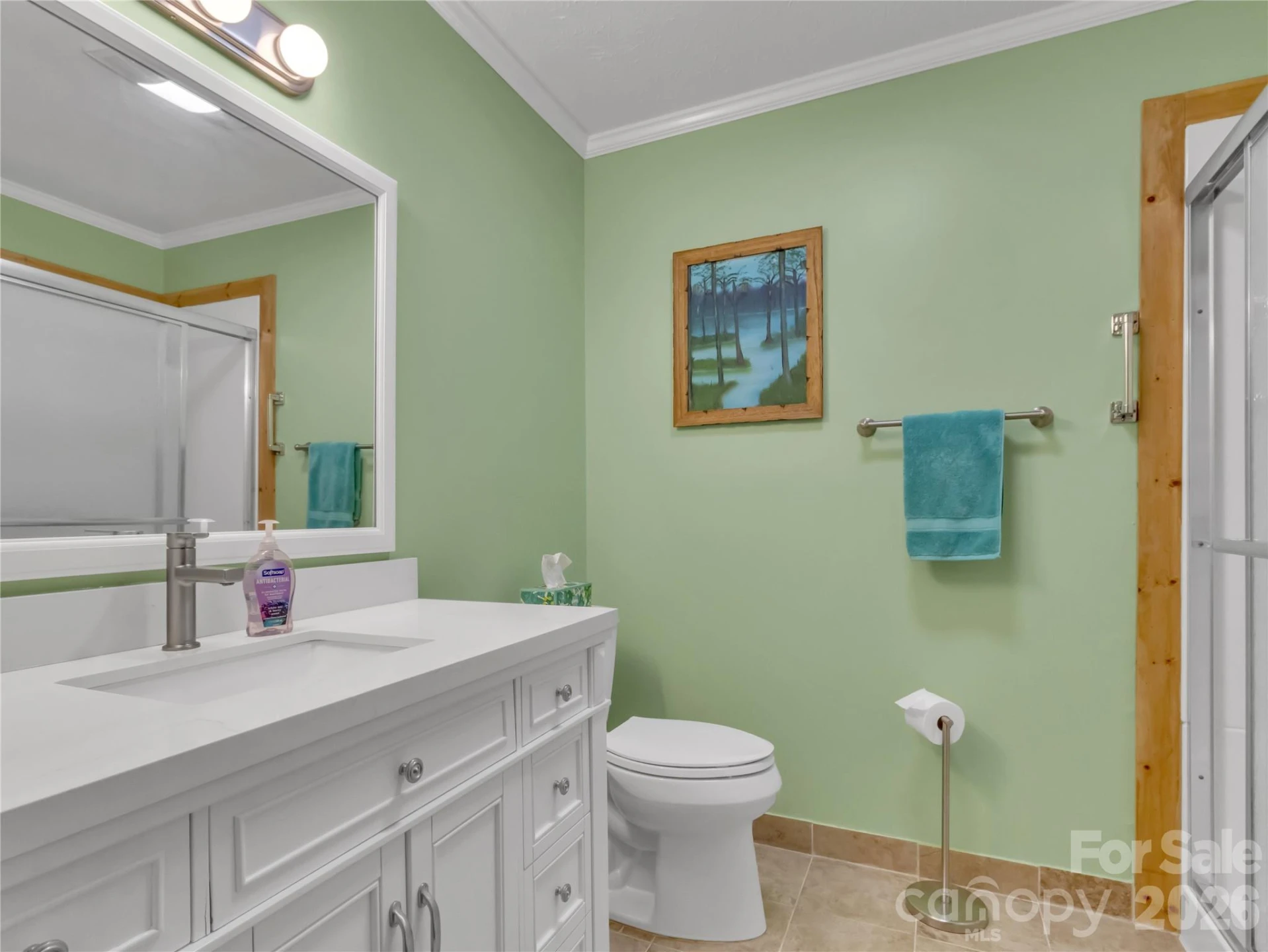 372 Shady Ridge Road - Photo 17