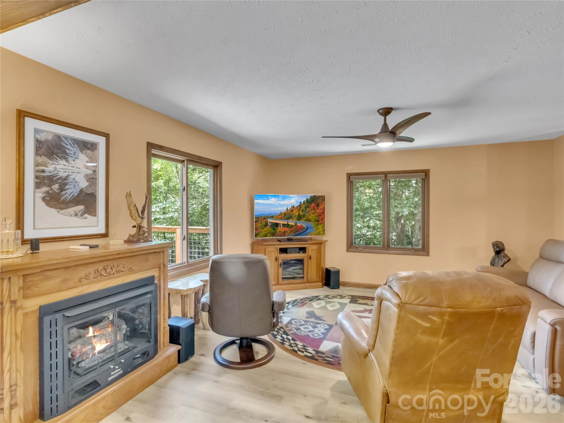372 Shady Ridge Road - Photo 7