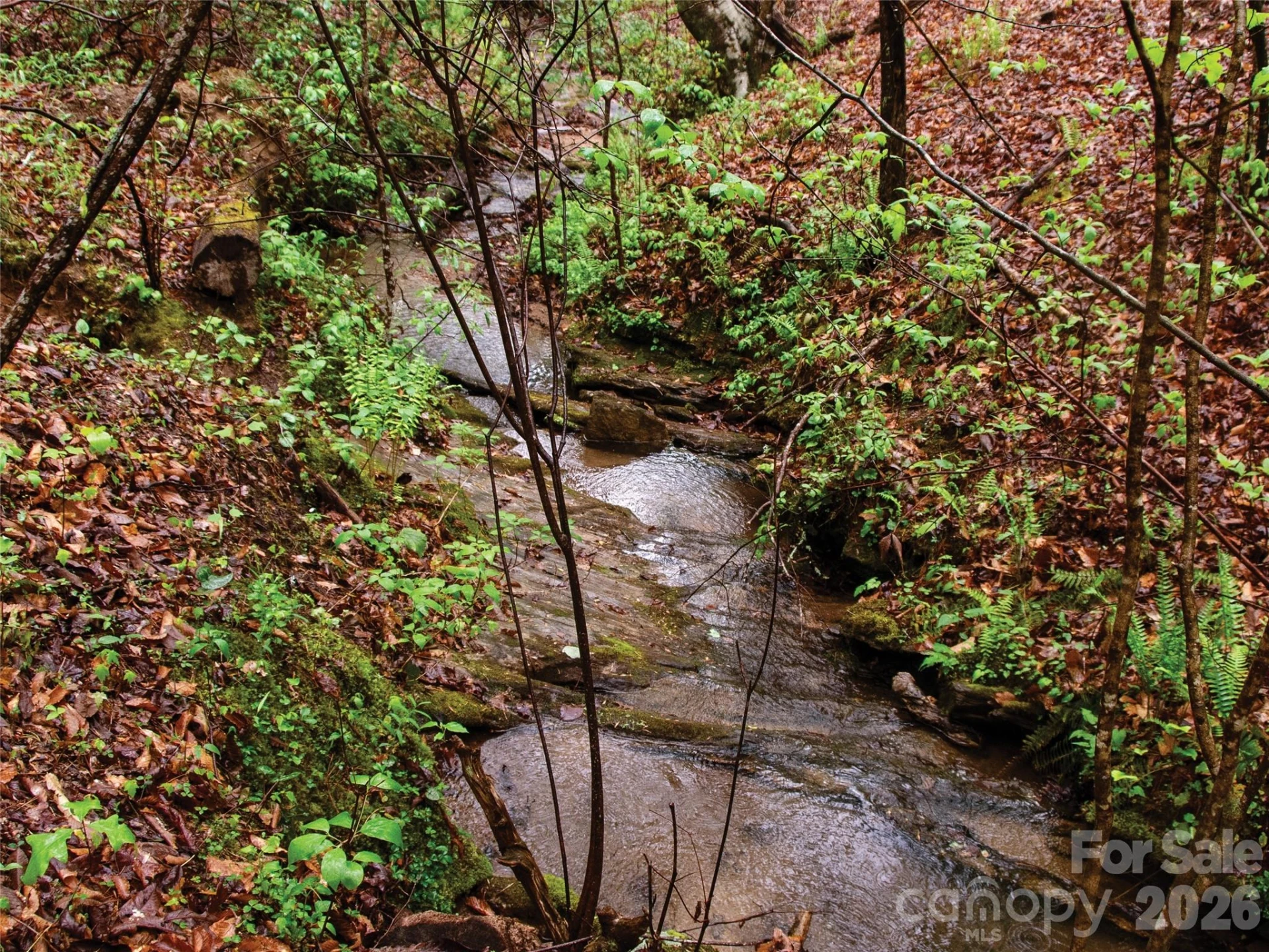 00000 Shady Bark Lane #43 & #44 - Photo 2