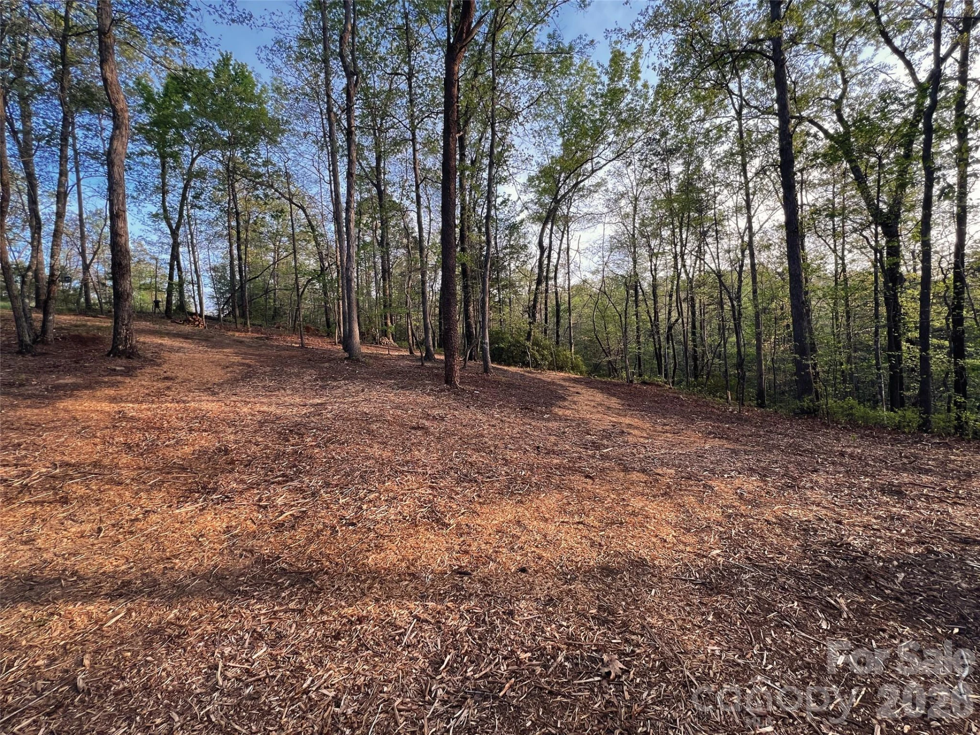 00000 Shady Bark Lane #43 & #44 - Photo 23
