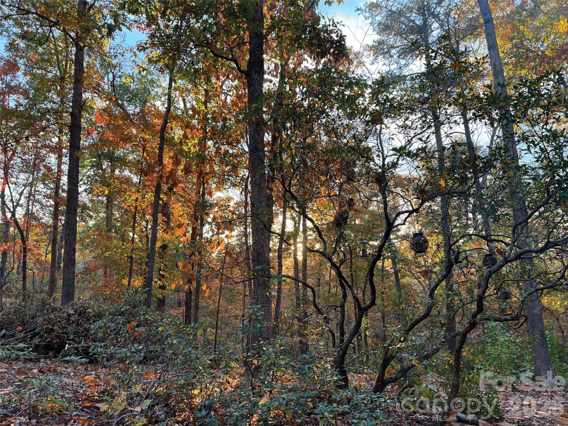 00000 Shady Bark Lane #43 & #44 - Photo 26