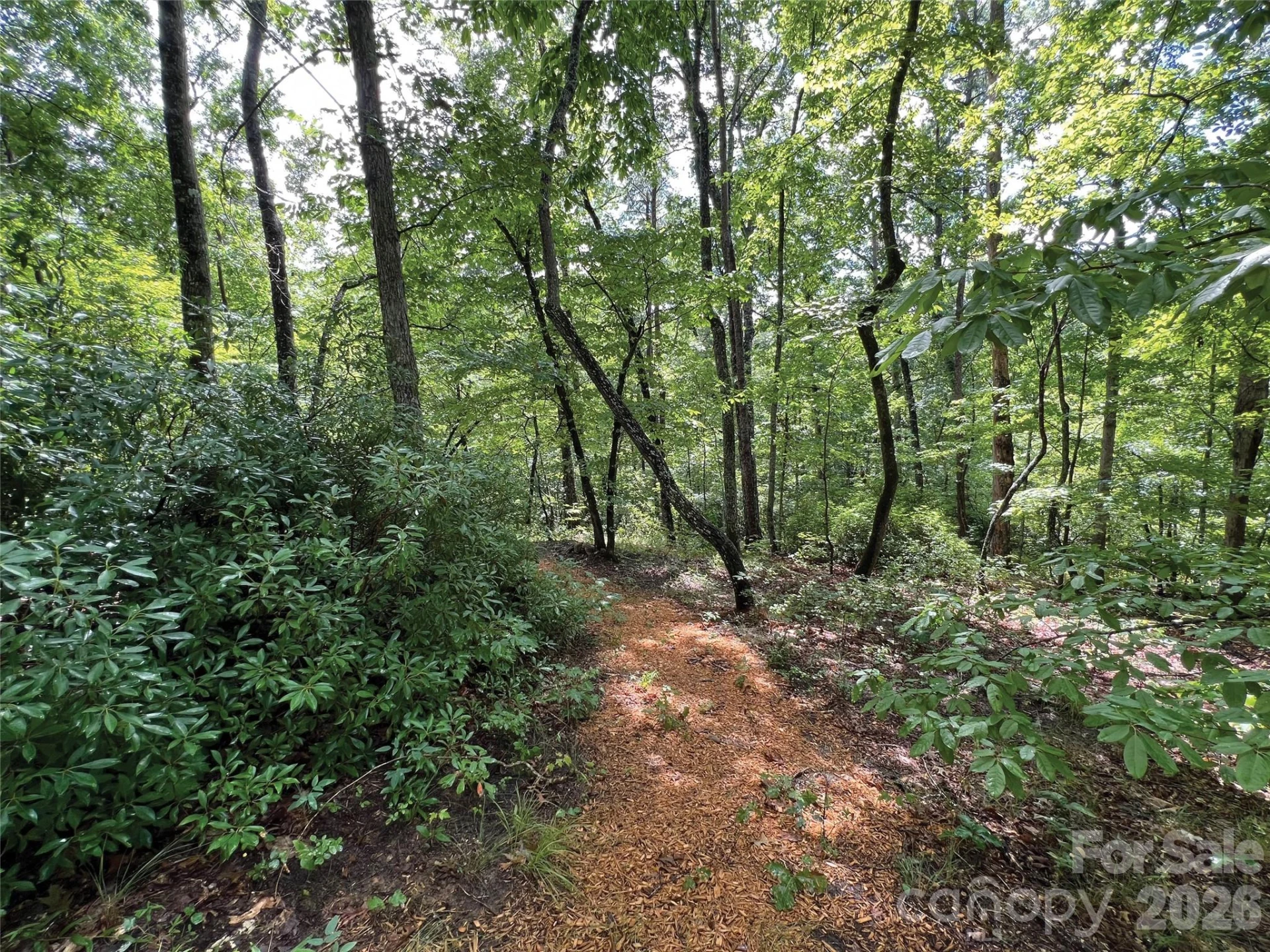 00000 Shady Bark Lane #43 & #44 - Photo 27