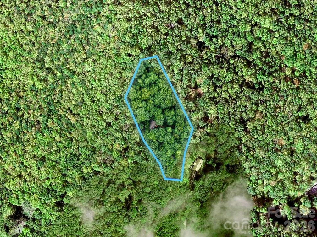 72 Wildflower Mountain Trail - Photo 37