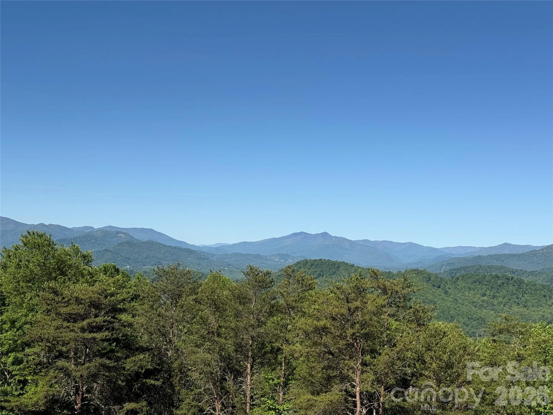 9999 Hunters Ridge Road - Photo 12