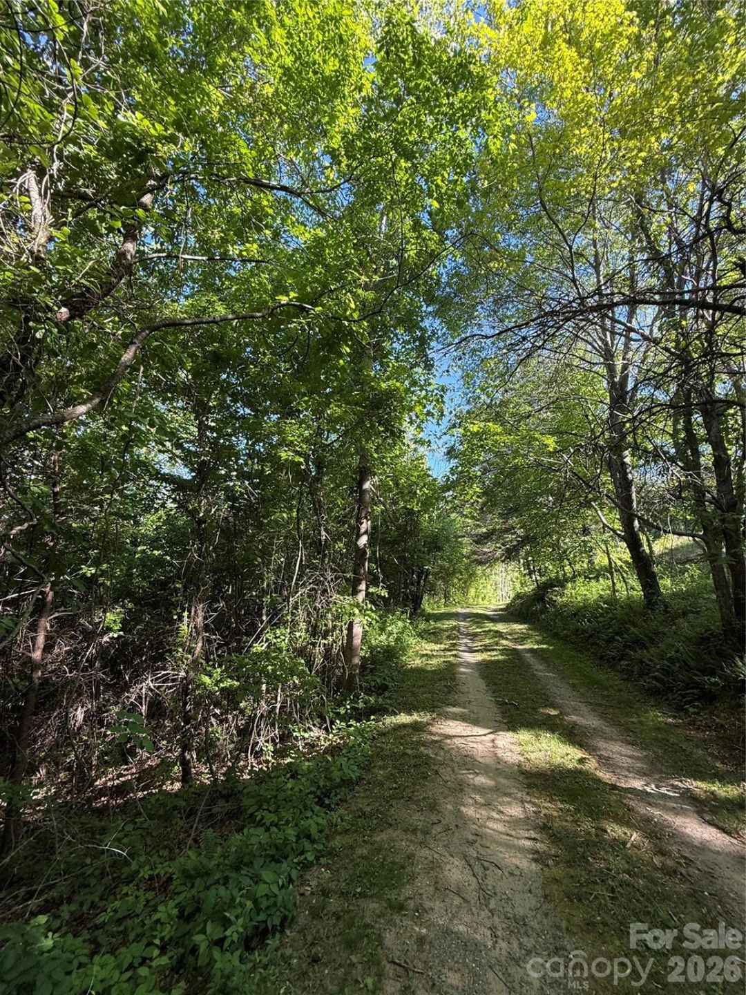 9999 Hunters Ridge Road - Photo 13