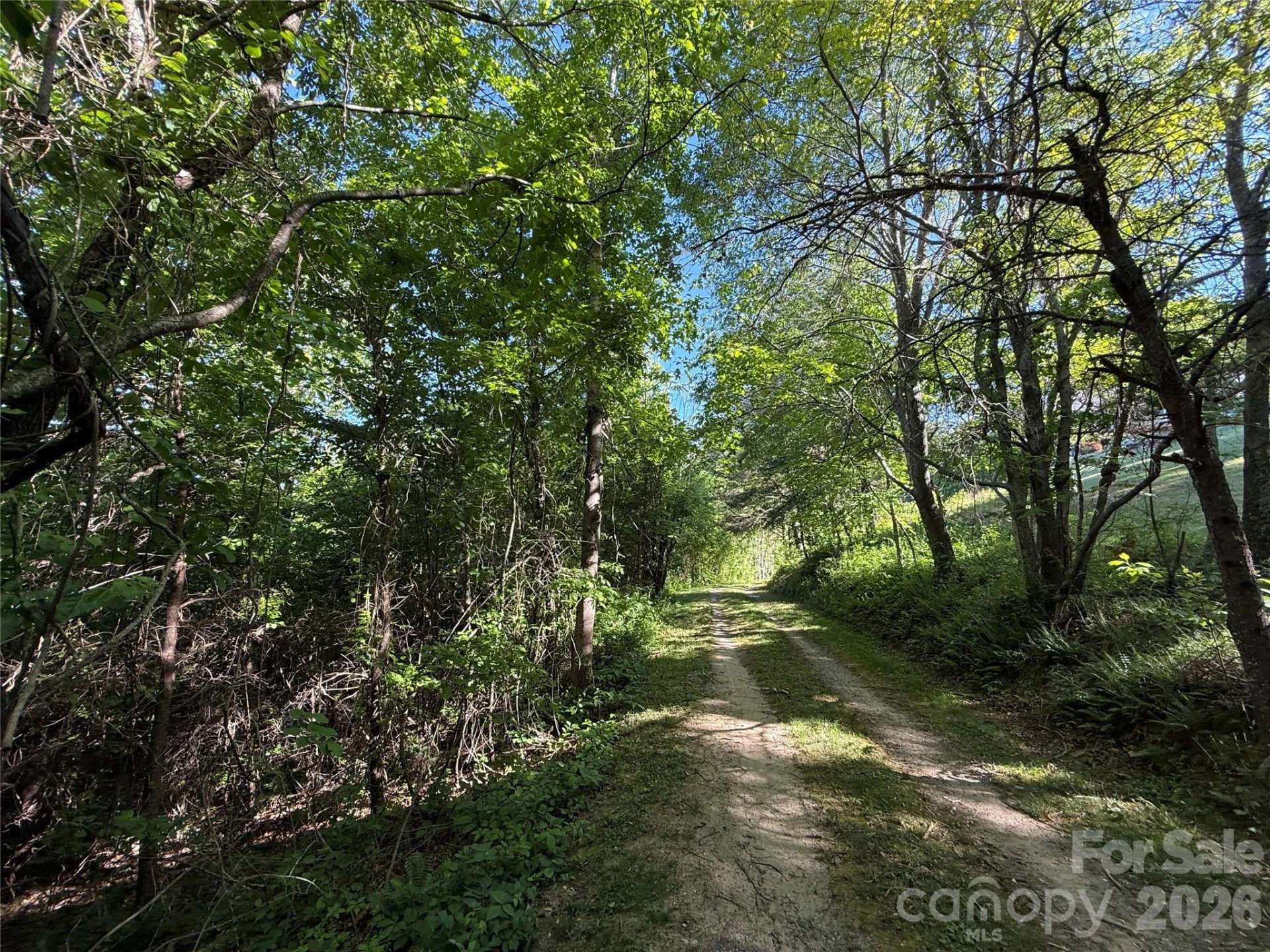 9999 Hunters Ridge Road - Photo 15