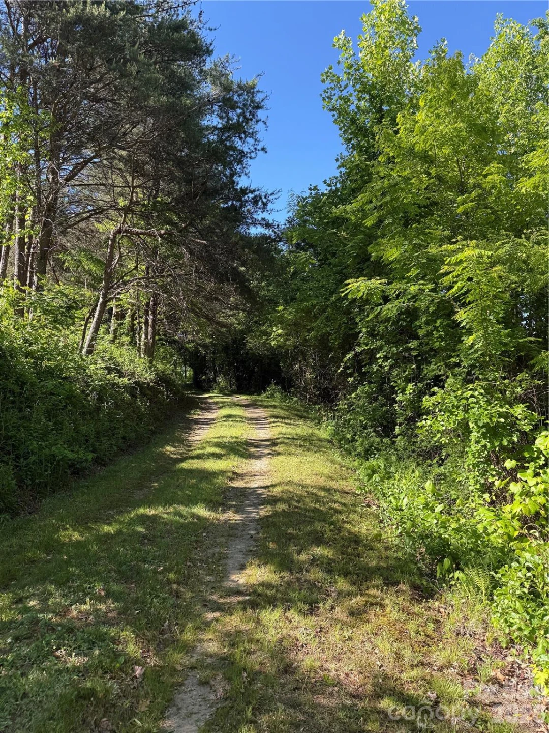 9999 Hunters Ridge Road - Photo 18