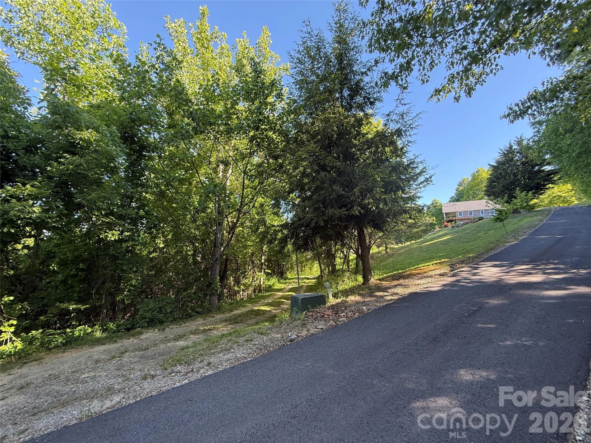 9999 Hunters Ridge Road - Photo 19