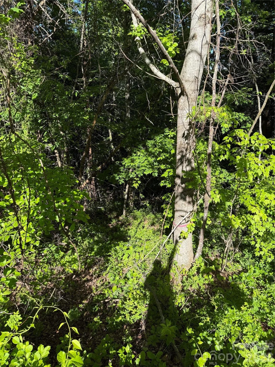 9999 Hunters Ridge Road - Photo 3