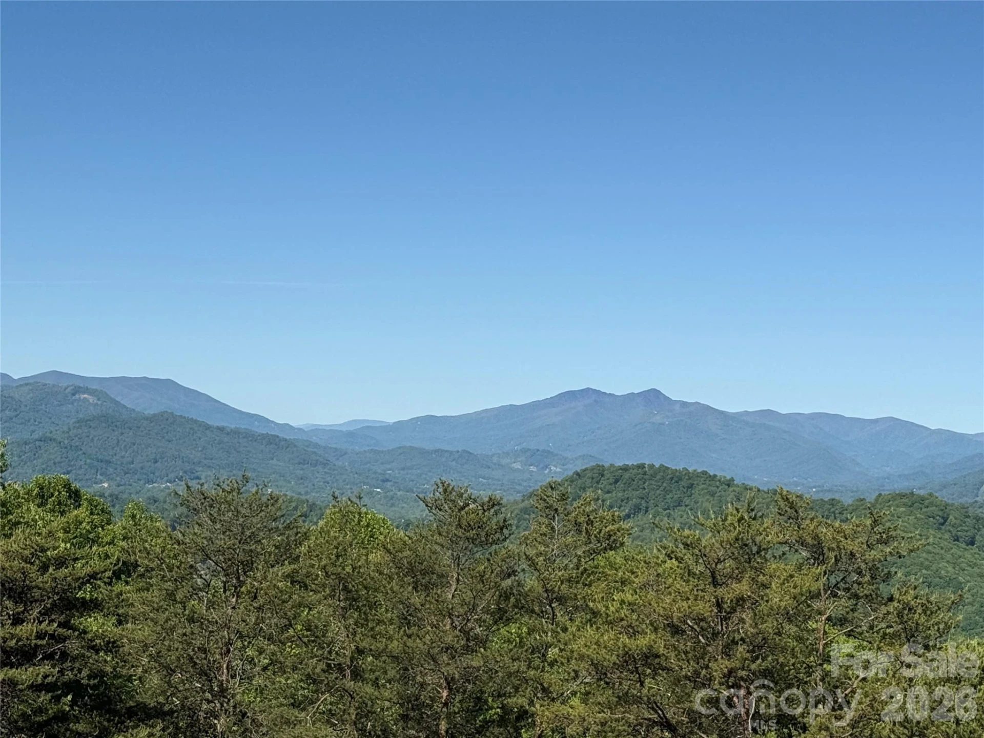 9999 Hunters Ridge Road - Photo 5