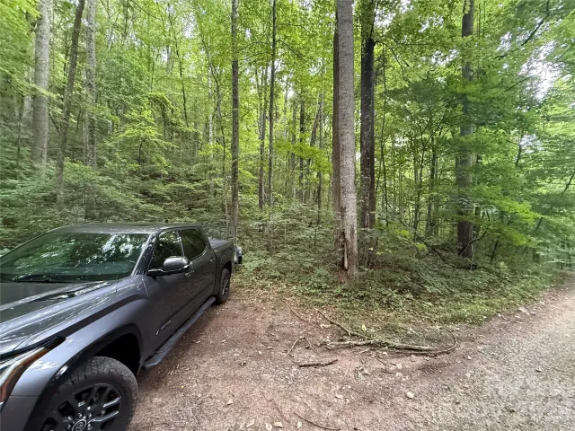 9999 Countryside Estate, Barnardsville, NC, 28709