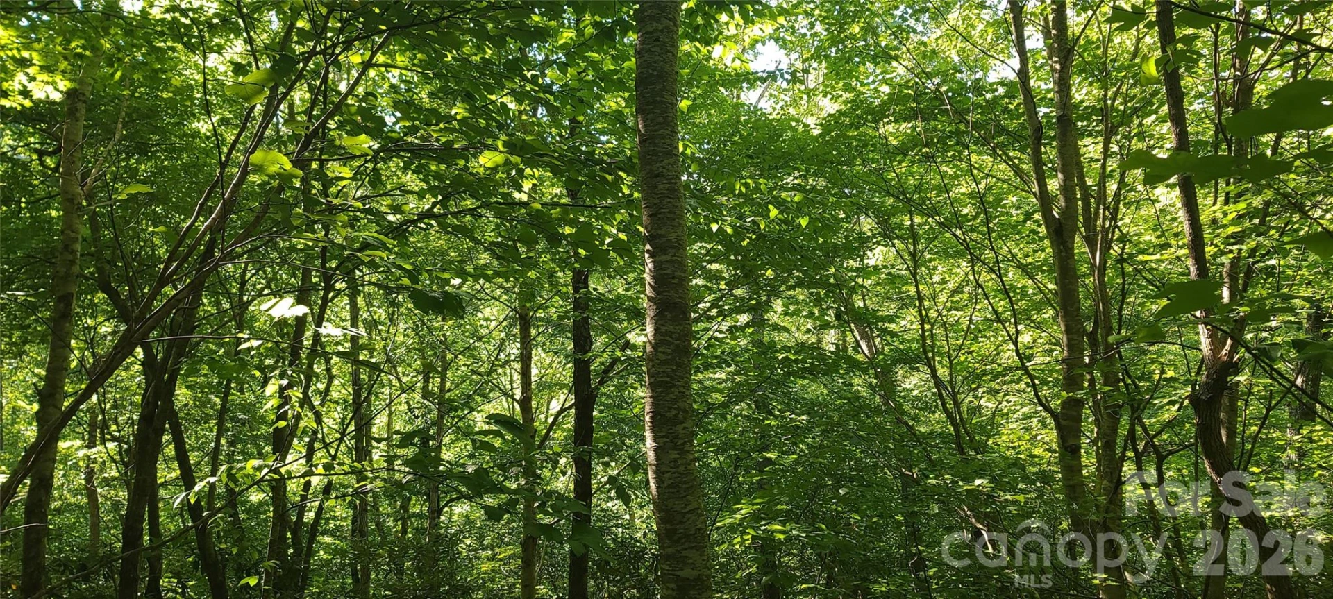 Lot# 19 Mill Creek Road - Photo 2