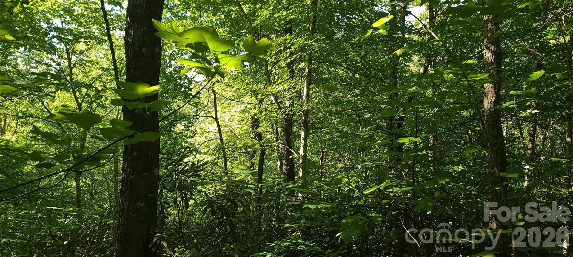 Lot# 19 Mill Creek Road - Photo 13