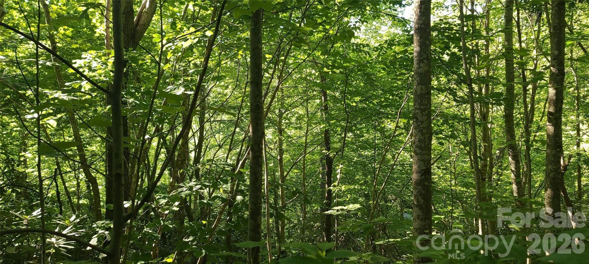 Lot# 19 Mill Creek Road - Photo 14