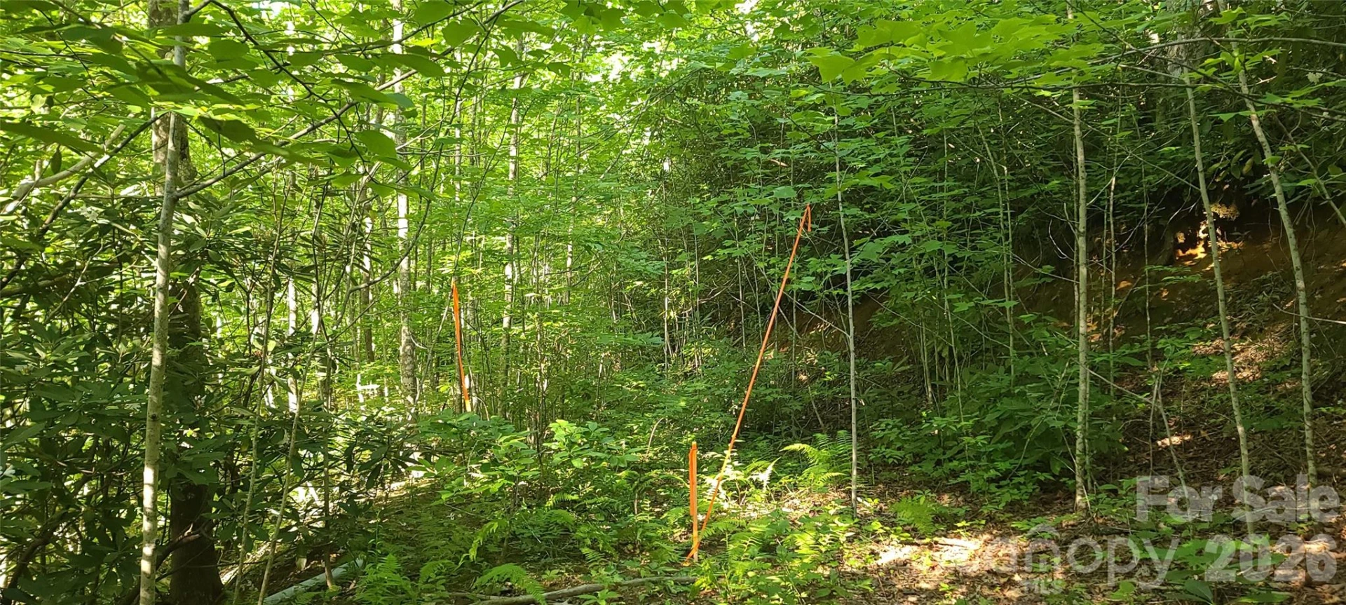 Lot# 19 Mill Creek Road - Photo 3
