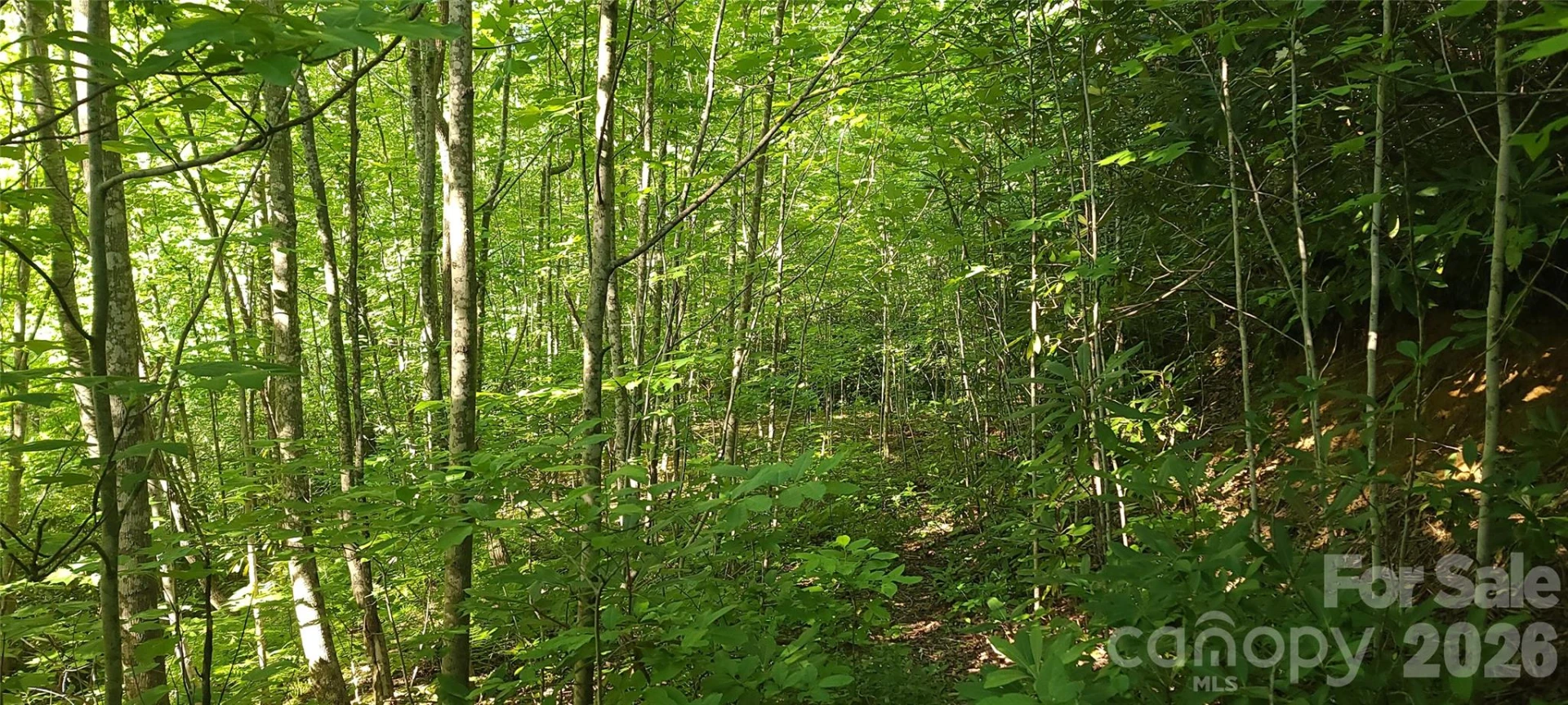 Lot# 19 Mill Creek Road - Photo 4