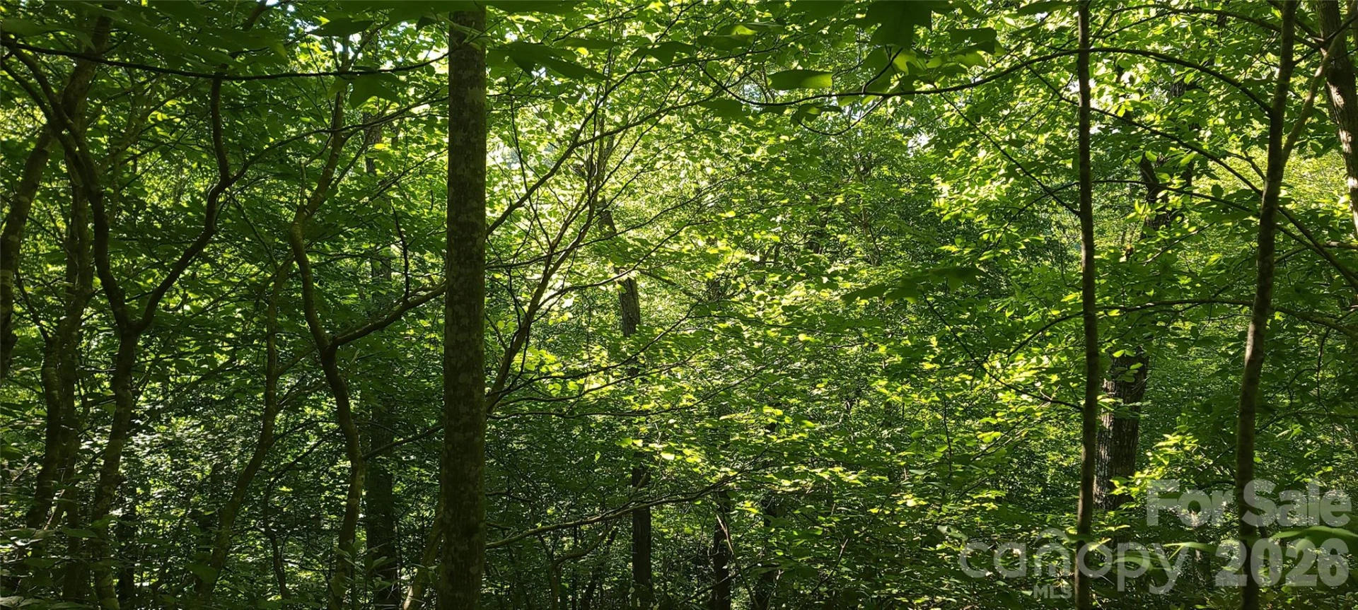 Lot# 19 Mill Creek Road - Photo 6