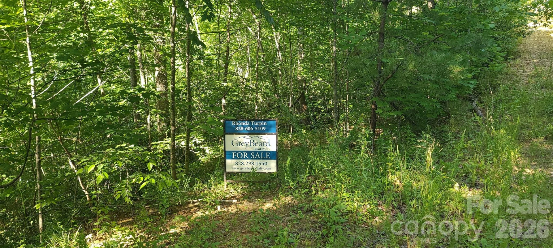 Lot# 19 Mill Creek Road - Photo 8