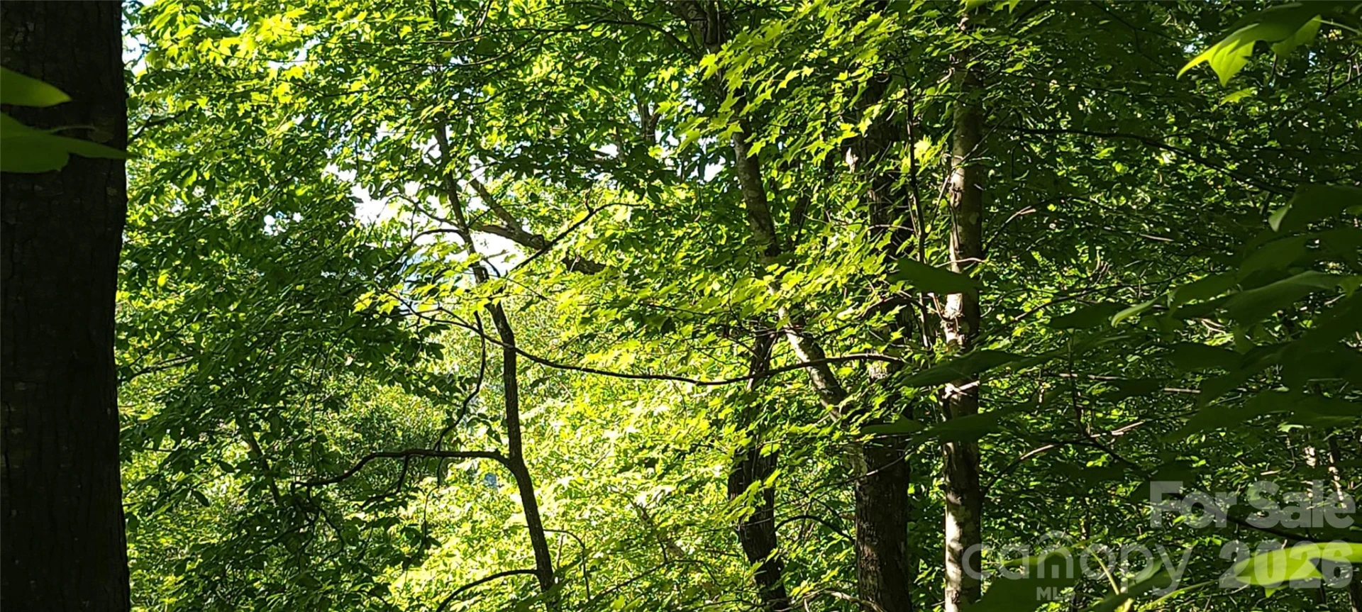 Lot# 19 Mill Creek Road - Photo 10